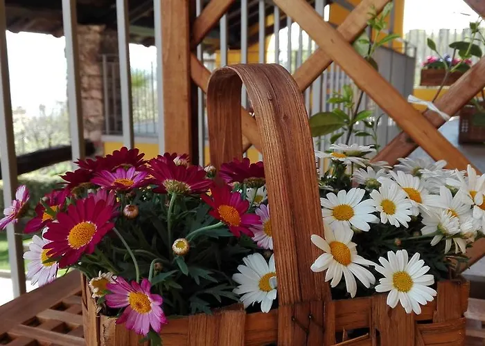 Lejlighed Il Portico Baveno