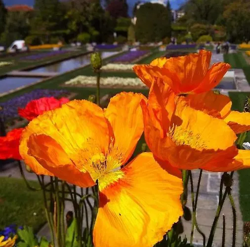 Lägenhet Il Portico Baveno